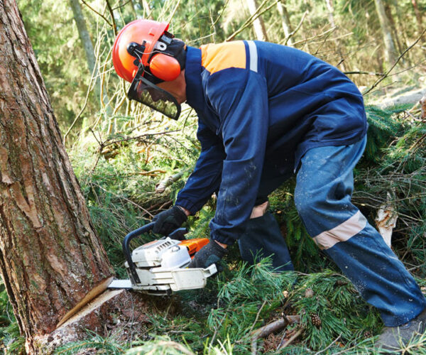 okz-czluchow okz-czluchow